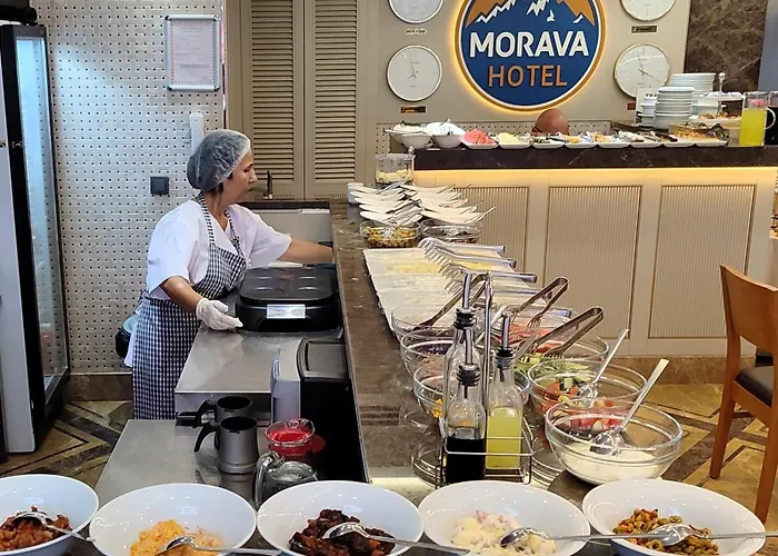 Hotel Morava